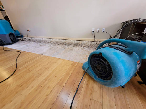 Professional Water Damage Repair technician working in Union Grove, NC